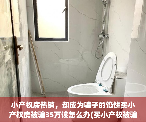 小产权房热销，却成为骗子的馅饼买小产权房被骗35万该怎么办(买小产权被骗能立案吗)