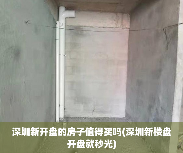 深圳新开盘的房子值得买吗(深圳新楼盘开盘就秒光) 深圳新开盘的房子值得买吗(深圳新楼盘开盘就秒光)