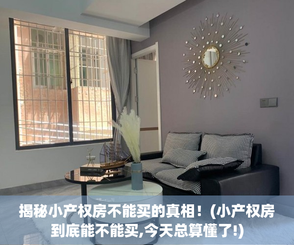 揭秘小产权房不能买的真相！(小产权房到底能不能买,今天总算懂了!)
