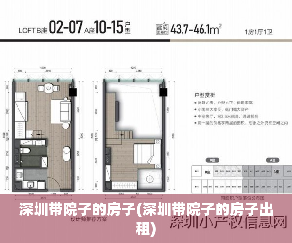 深圳带院子的房子(深圳带院子的房子出租)