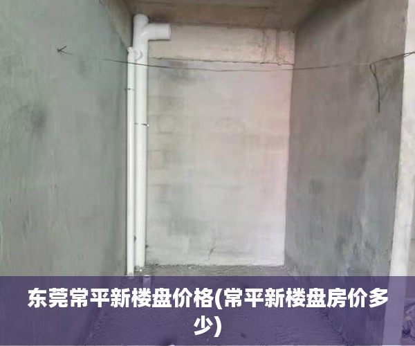 东莞常平新楼盘价格(常平新楼盘房价多少)