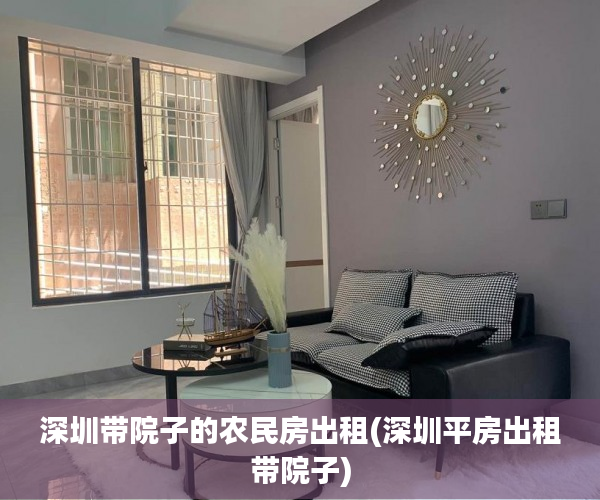 深圳带院子的农民房出租(深圳平房出租带院子)