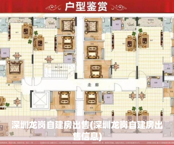 深圳龙岗自建房出售(深圳龙岗自建房出售信息)