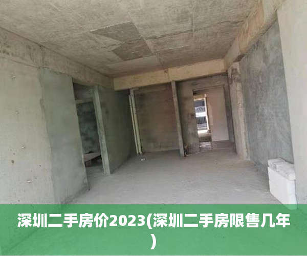 深圳二手房价2023(深圳二手房限售几年)