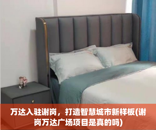 万达入驻谢岗，打造智慧城市新样板(谢岗万达广场项目是真的吗)