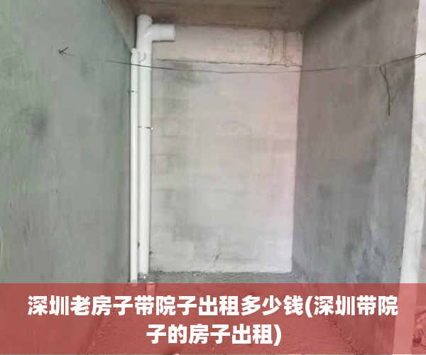 深圳老房子带院子出租多少钱(深圳带院子的房子出租)