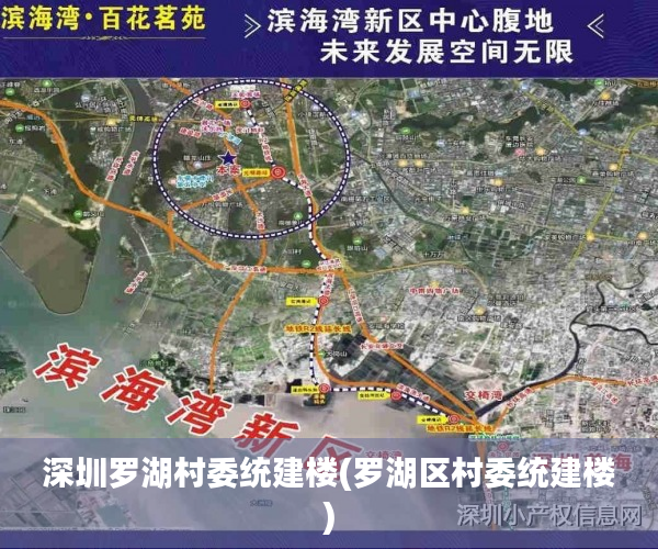 深圳罗湖村委统建楼(罗湖区村委统建楼) 深圳罗湖村委统建楼(罗湖区村委统建楼)