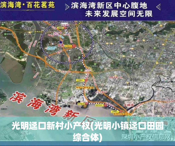 光明迳口新村小产权(光明小镇迳口田园综合体)