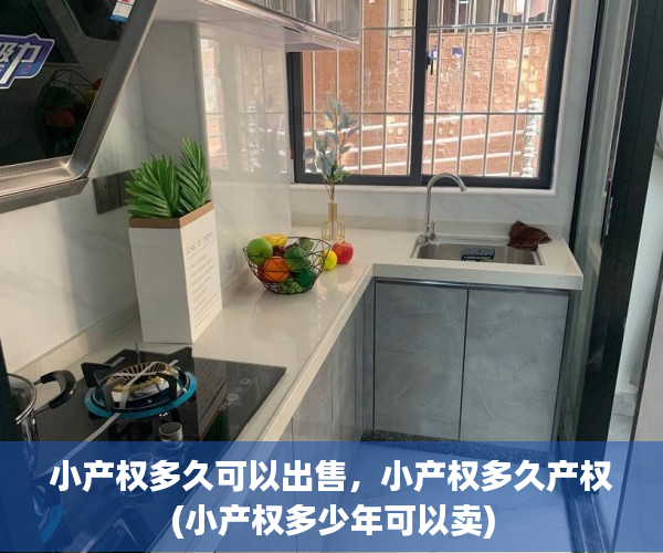 小产权多久可以出售，小产权多久产权(小产权多少年可以卖)