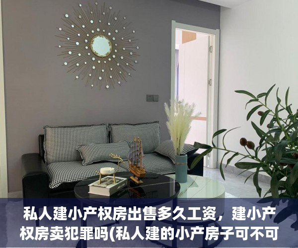 私人建小产权房出售多久工资，建小产权房卖犯罪吗(私人建的小产房子可不可以买)