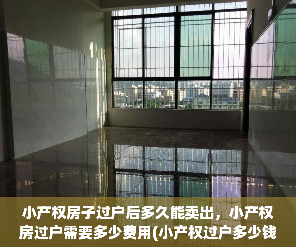 小产权房子过户后多久能卖出，小产权房过户需要多少费用(小产权过户多少钱)