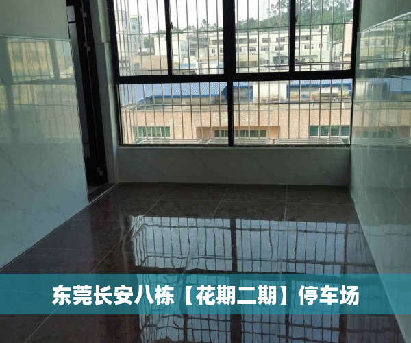 东莞长安八栋【花期二期】停车场