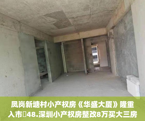 凤岗新塘村小产权房《华盛大厦》隆重入市️48.深圳小产权房整改8万买大三房小产权房_深圳小产权房