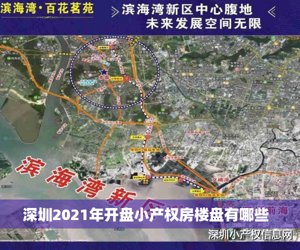 深圳2021年开盘小产权房楼盘有哪些  