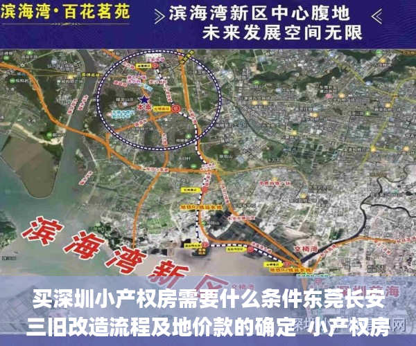 买深圳小产权房需要什么条件东莞长安三旧改造流程及地价款的确定  小产权房_评估