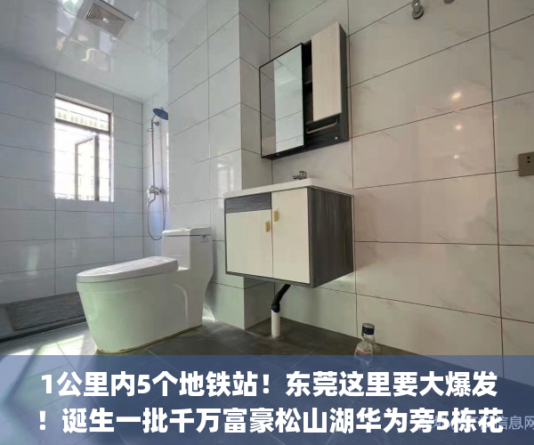 1公里内5个地铁站！东莞这里要大爆发！诞生一批千万富豪松山湖华为旁5栋花园式小产权房  东莞_有谁在东莞买了小产权房