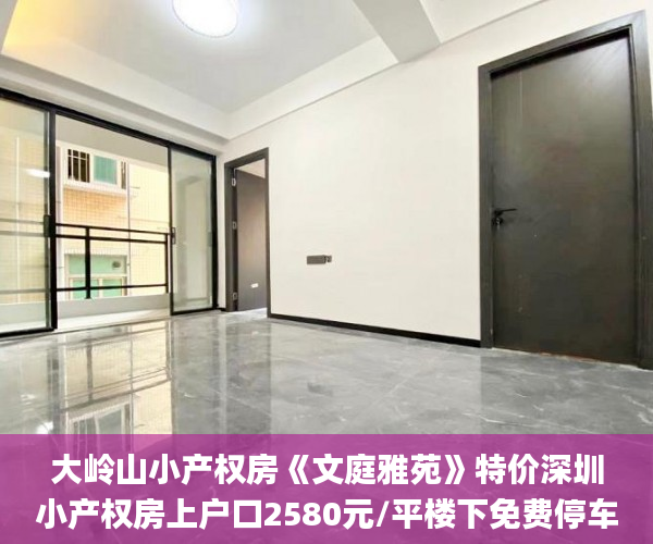 大岭山小产权房《文庭雅苑》特价深圳小产权房上户口2580元/平楼下免费停车场开发商无条件分期轻轨R1/R3双地铁.  微软_小产权房