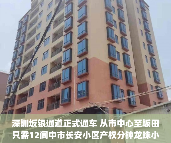 深圳坂银通道正式通车 从市中心至坂田只需12阆中市长安小区产权分钟龙珠小产权房  小产权房_微软