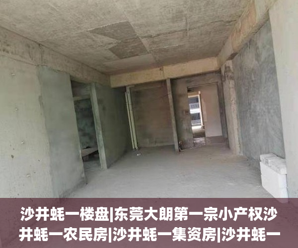 沙井蚝一楼盘|东莞大朗第一宗小产权沙井蚝一农民房|沙井蚝一集资房|沙井蚝一统建楼  沙井_平米