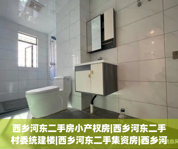 西乡河东二手房小产权房|西乡河东二手村委统建楼|西乡河东二手集资房|西乡河东二手农民房  