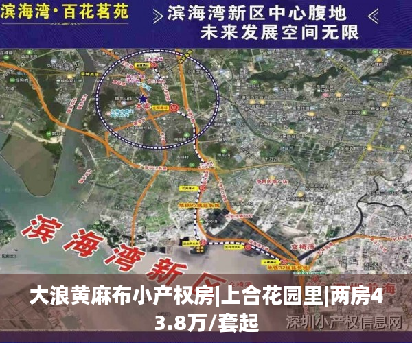 大浪黄麻布小产权房|上合花园里|两房43.8万/套起