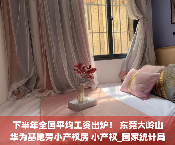 下半年全国平均工资出炉！ 东莞大岭山华为基地旁小产权房 小产权_国家统计局