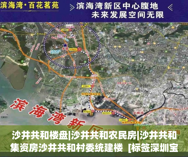 沙井共和楼盘|沙井共和农民房|沙井共和集资房沙井共和村委统建楼  [标签深圳宝安华安苑小产权:标题seo加词]