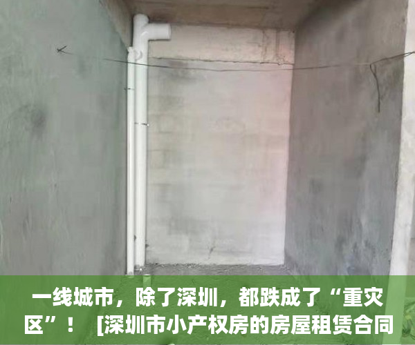 一线城市，除了深圳，都跌成了“重灾区”！  [深圳市小产权房的房屋租赁合同标签:标题seo加词]