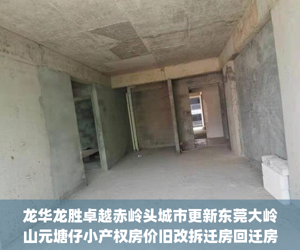 龙华龙胜卓越赤岭头城市更新东莞大岭山元塘仔小产权房价旧改拆迁房回迁房 已拆除99%  深圳小产权_拆除