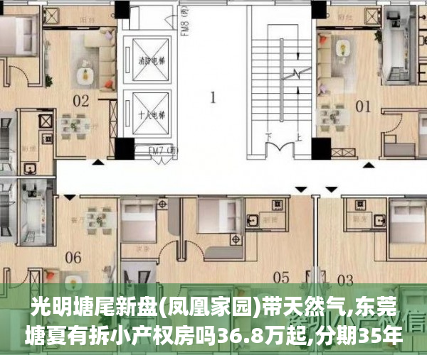 光明塘尾新盘(凤凰家园)带天然气,东莞塘夏有拆小产权房吗36.8万起,分期35年,利息48厘深圳小产权房_小产权房