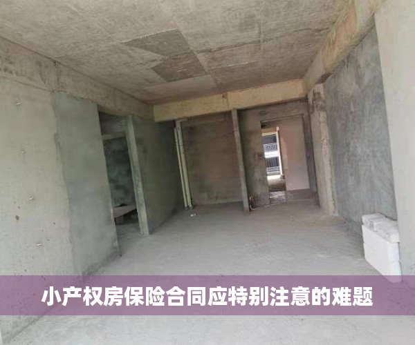 小产权房保险合同应特别注意的难题