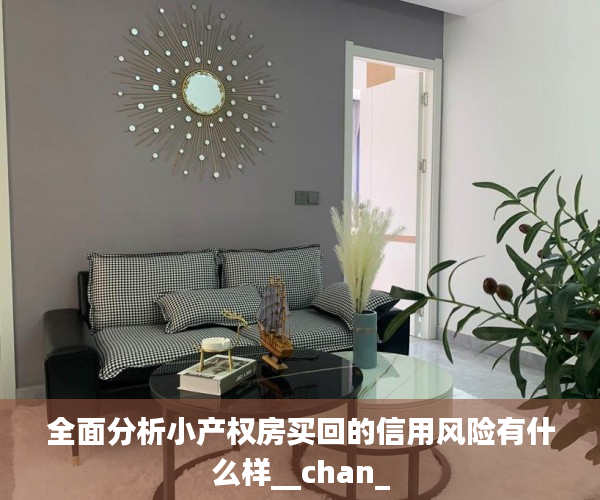全面分析小产权房买回的信用风险有什么样__chan_