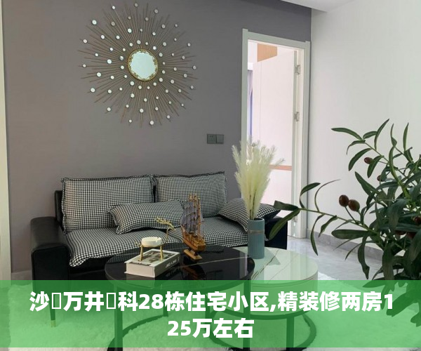 沙‮万井‬科28栋住宅小区,精装修两房125万左右
