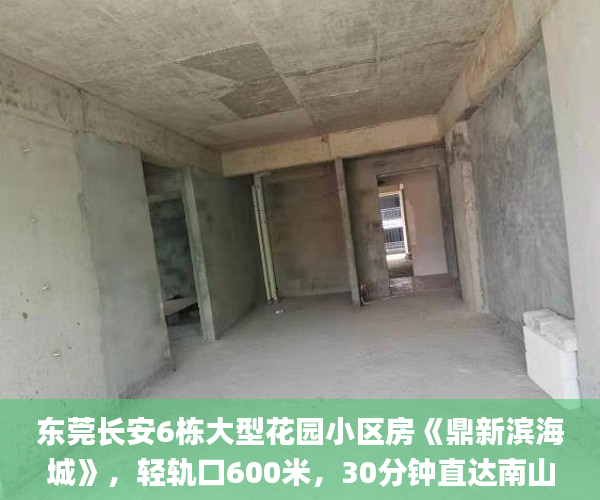 东莞长安6栋大型花园小区房《鼎新滨海城》，轻轨口600米，30分钟直达南山东莞长安最大花园小区小产权房  微软_黑体