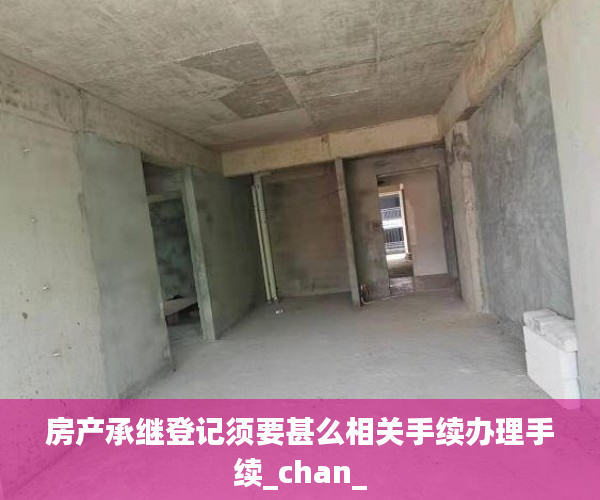 房产承继登记须要甚么相关手续办理手续_chan_