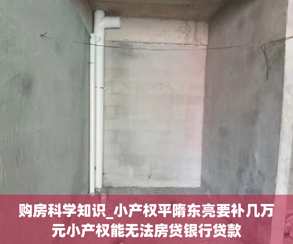 购房科学知识_小产权平隋东亮要补几万元小产权能无法房贷银行贷款