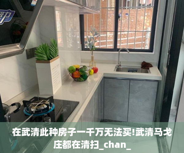 在武清此种房子一千万无法买!武清马戈庄都在清扫_chan_