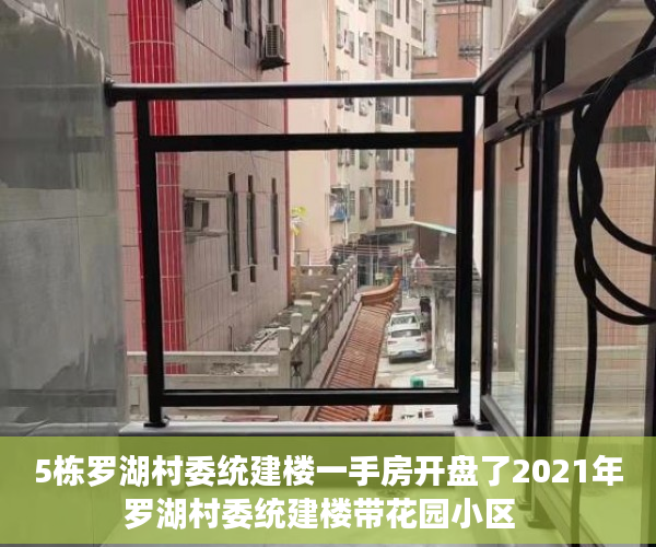 5栋罗湖村委统建楼一手房开盘了2021年罗湖村委统建楼带花园小区  