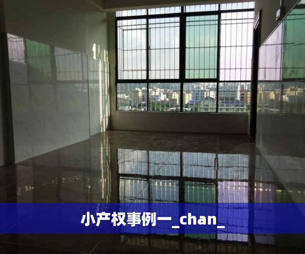 小产权事例一_chan_