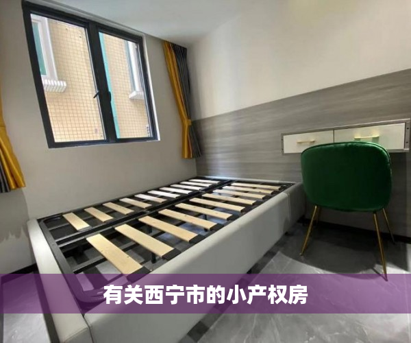 有关西宁市的小产权房