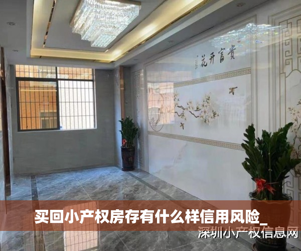 买回小产权房存有什么样信用风险_