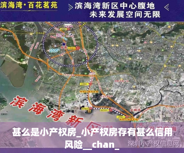 甚么是小产权房_小产权房存有甚么信用风险__chan_