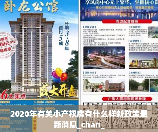 2020年有关小产权房有什么样新政策最新消息_chan_