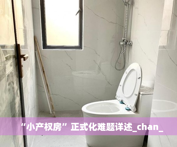“小产权房”正式化难题详述_chan_