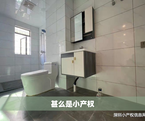 甚么是小产权