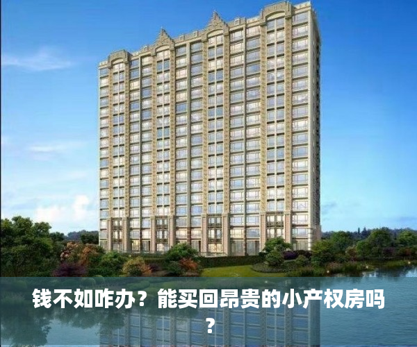 钱不如咋办？能买回昂贵的小产权房吗？