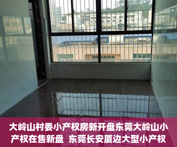 大岭山村委小产权房新开盘东莞大岭山小产权在售新盘  东莞长安厦边大型小产权房东莞大岭山小产权房_小产权房