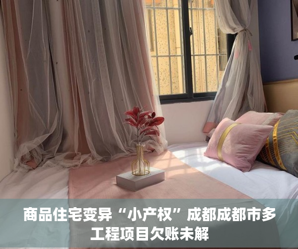 商品住宅变异“小产权”成都成都市多工程项目欠账未解