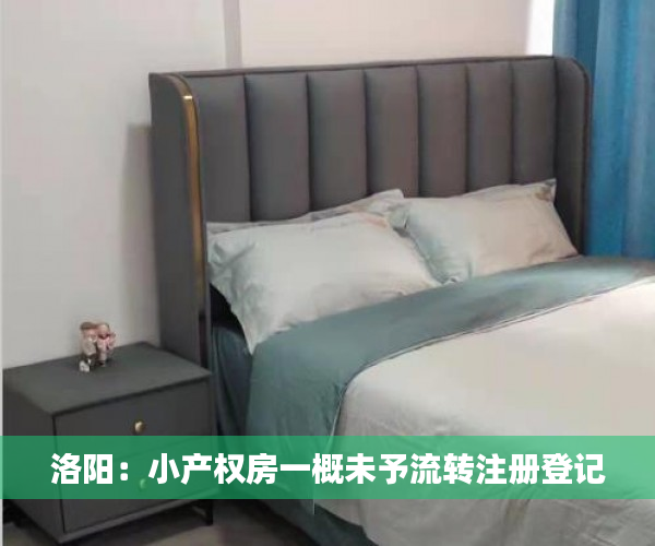 洛阳：小产权房一概未予流转注册登记