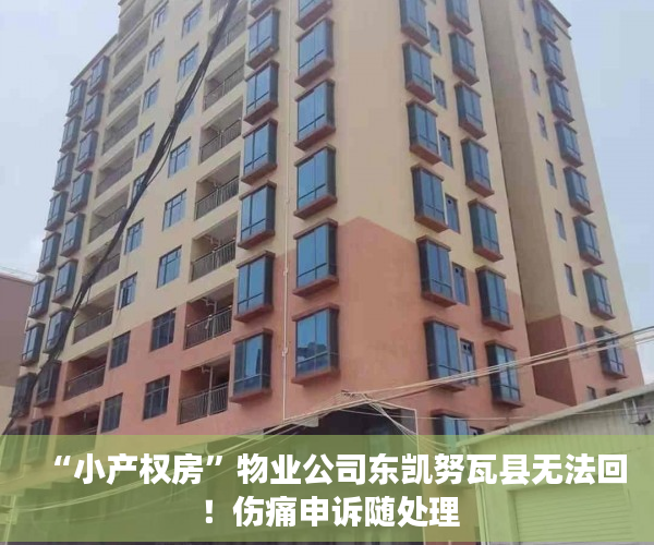 “小产权房”物业公司东凯努瓦县无法回！伤痛申诉随处理